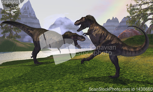 Image of T-REX FIGHT