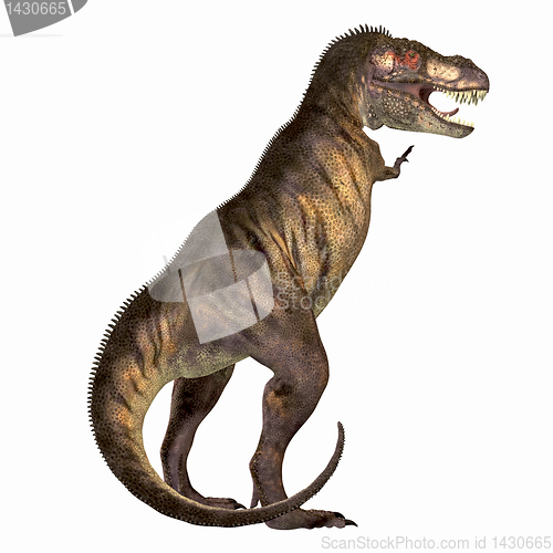 Image of Tyrannosaurus Rex 01