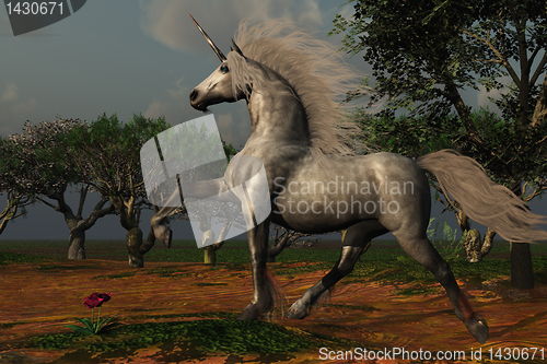 Image of UNICORN FOREST