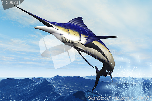 Image of MARLIN JUMP