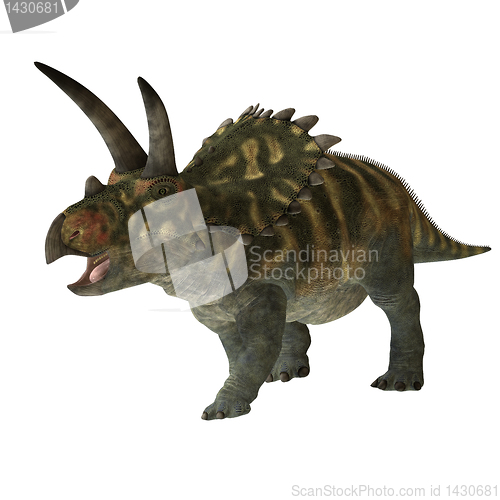 Image of Coahuilaceratops 01