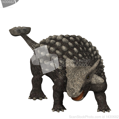 Image of Ankylosaurus 01