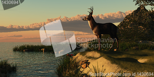 Image of Deer Lake