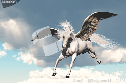 Image of PEGASUS