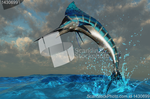 Image of Blue Marlin Splash