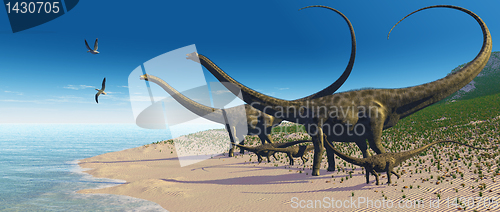 Image of Diplodocus Herd