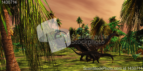 Image of Apatasaurus Jungle