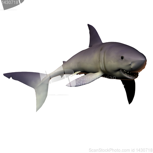 Image of Mako Shark 01