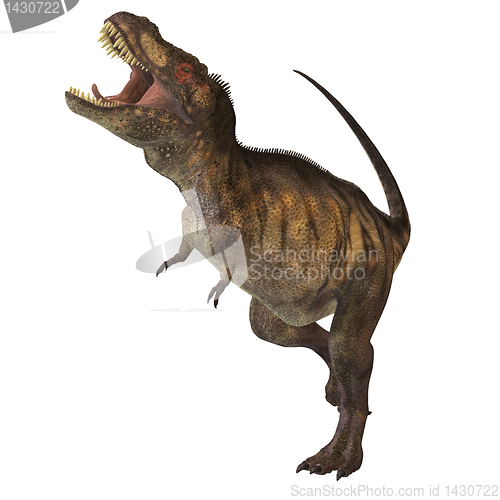 Image of Tyrannosaurus Rex 02