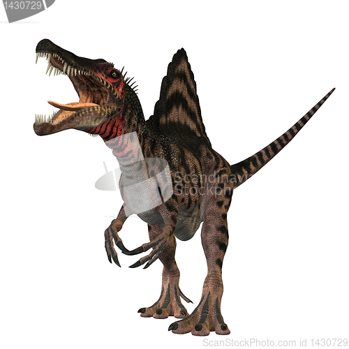 Image of Spinosaurus 01