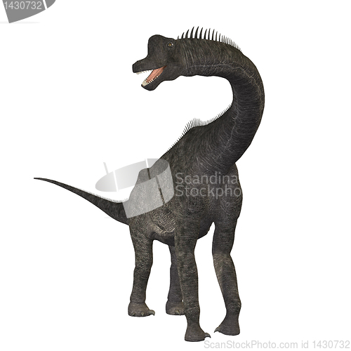 Image of Brachiosaurus 01