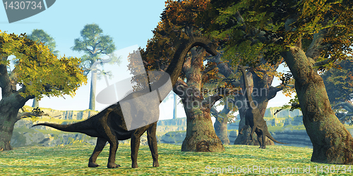 Image of Brachiosaurus