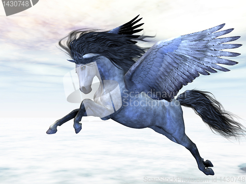 Image of SILVER PEGASUS