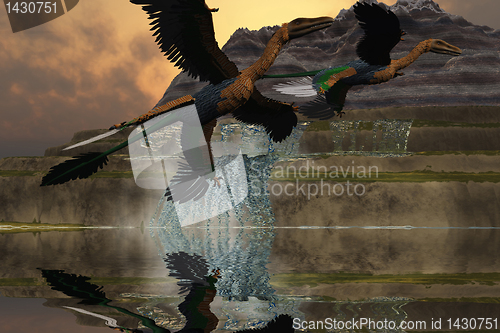 Image of MICRORAPTOR