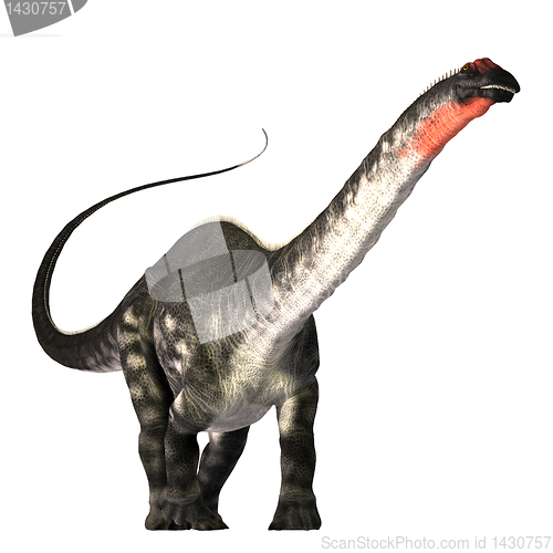 Image of Apatasaurus 01