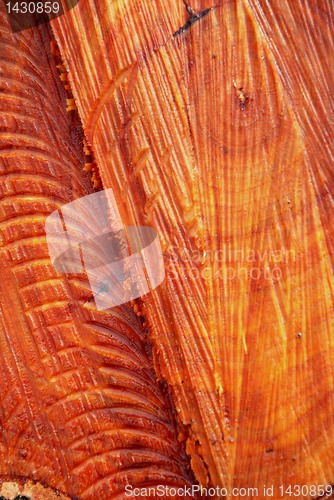 Image of Cut alder 