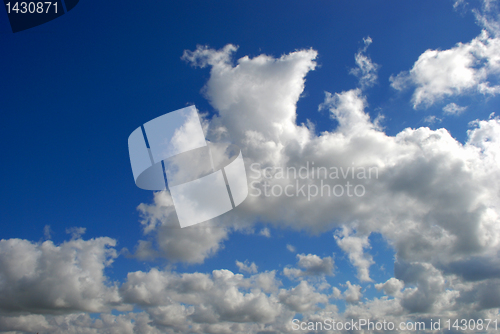 Image of Summer cumulus 