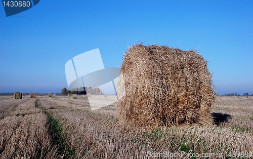 Image of Straw bales 