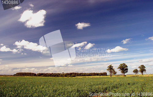 Image of Argrarian landscape 