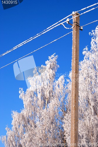 Image of Frost crystals 