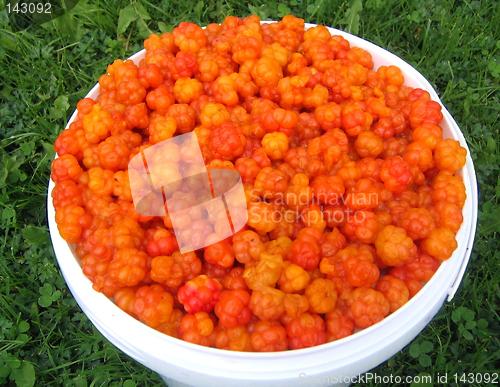 Image of Cloudberries