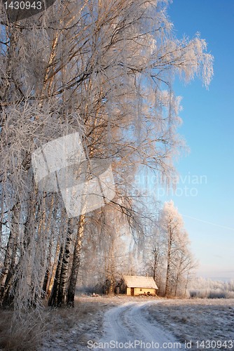 Image of Winter road 