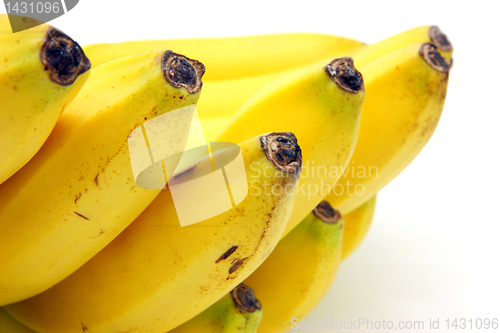 Image of Bunch of bananas isolated on white background