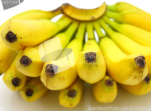 Image of Bunch of bananas isolated on white background