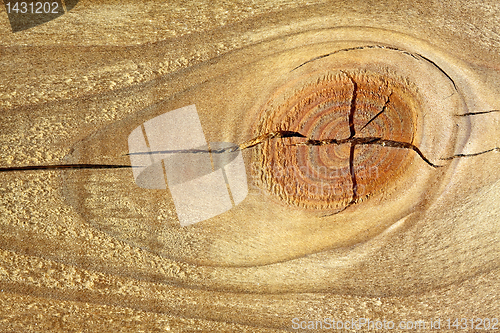 Image of Wood texture