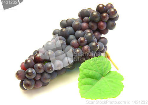 Image of Blue grape with green leaf, isolated on white background