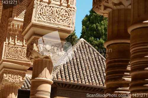 Image of The Court of the Lions (Patio de los Leones)