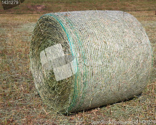 Image of harvested field with hay in summer