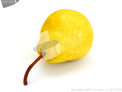 Image of A single pear