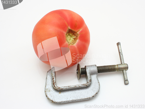 Image of Tomato and clamp