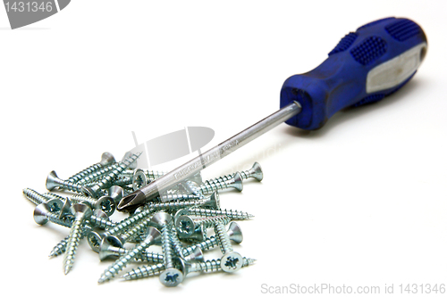 Image of Screwdriver and small metal screws on a white background