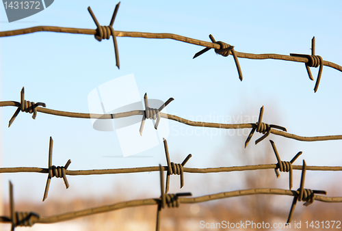 Image of barbed wires against blue sky.