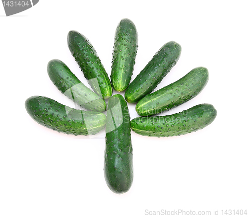 Image of Cucumbers in the form of a green tree