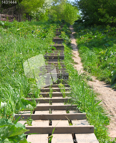 Image of The wooden ladder is located a hill slope