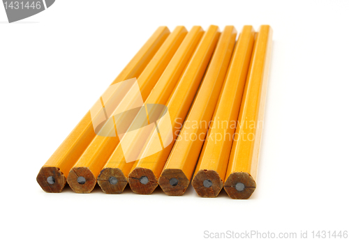 Image of The yellow ground pencil 