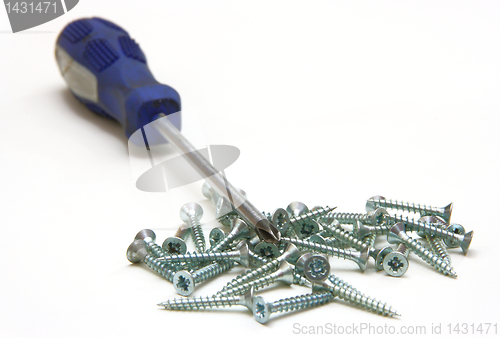 Image of Screwdriver and small metal screws on a white background