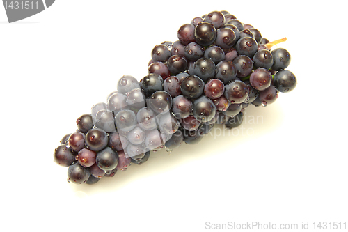 Image of Grapes on white background