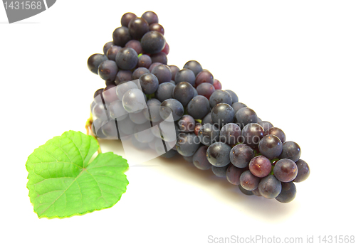 Image of Blue grape with green leaf, isolated on white background