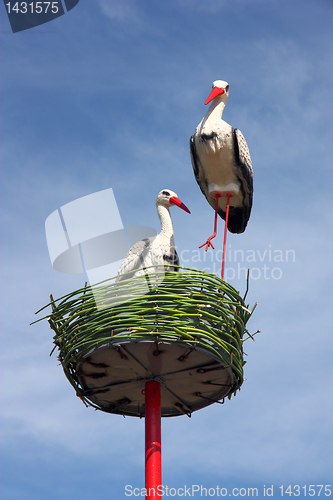 Image of couple of white storks in nest