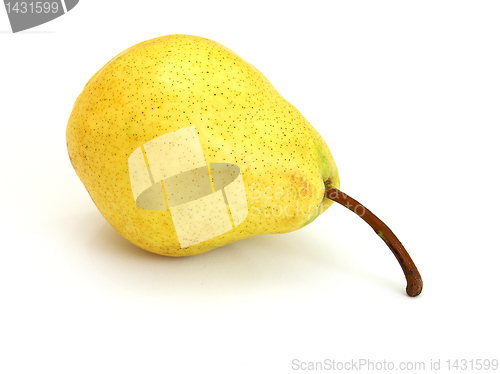 Image of A single pear 