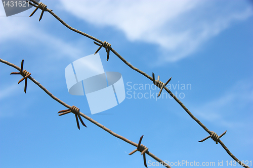 Image of barbed wire against the blue sky