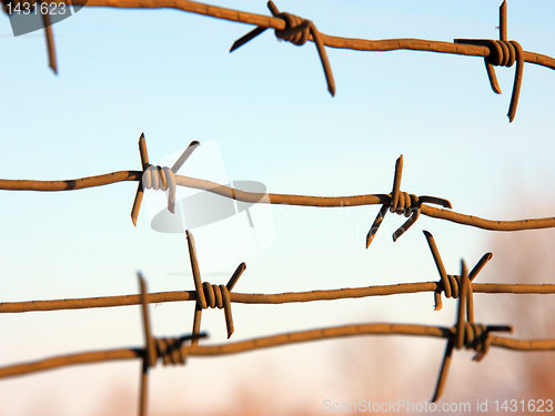 Image of barbed wires against blue sky.