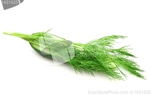 Image of a cucumber with the cut half lying on a dill