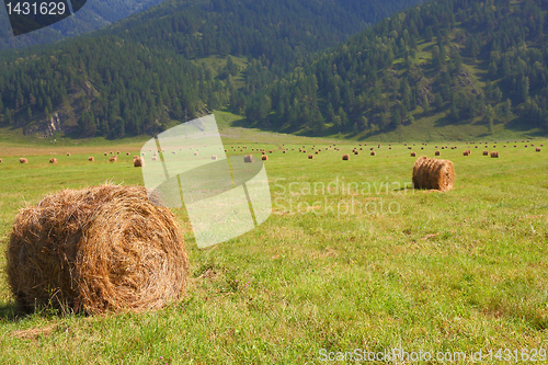 Image of hay rolls in the background of mountains