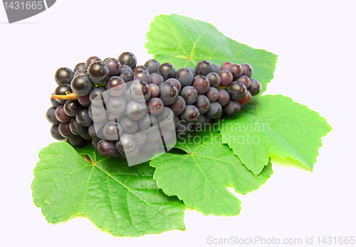 Image of Blue grape with green leaf, isolated on white background