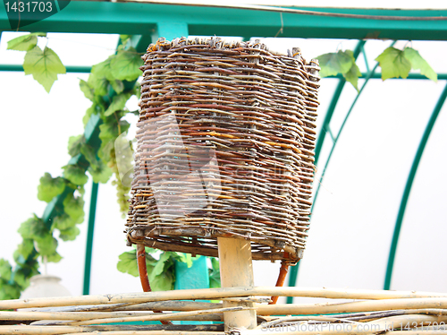 Image of The wattled basket